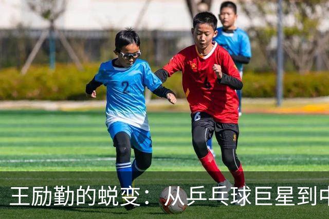 王励勤的蜕变：从乒乓球巨星到中国乒协的守护者